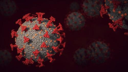Вирусолог Чумаков заявил, что «омикрон» значительно отличается от других штаммов коронавируса