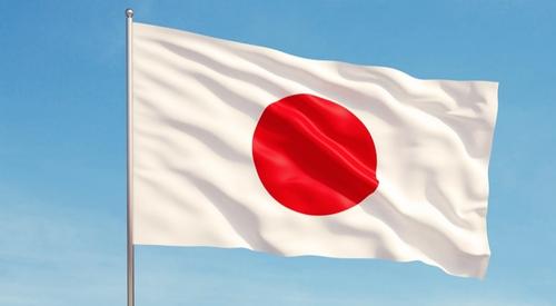 «В год Тигра надо вести себя наступательно»: Япония  меняет свою политику