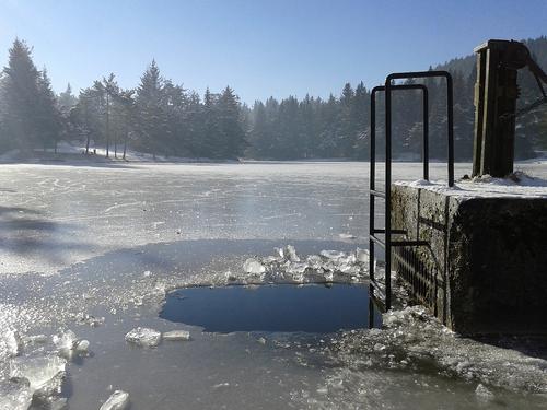 Под Петербургом в деревне Новосаратовка провалился под лёд на реке и утонул восьмилетний сын миллиардера