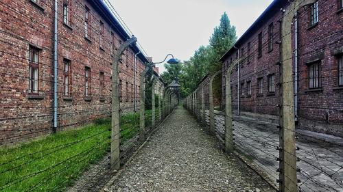 Красногорский Музей Победы проведет лекцию в память жертв Холокоста