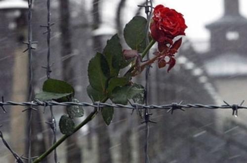 Сегодня отмечается Международный день памяти жертв Холокоста