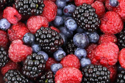 Эксперт Мойсенко назвала ягоды, которые подходят для лучшей защиты организма