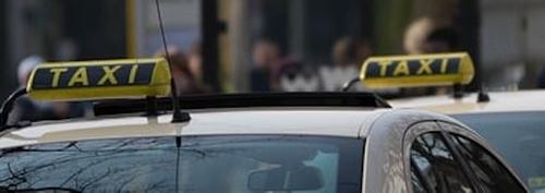 Депутат Бессараб не поддержала идею снизить тарифы на перевозку детей в такси