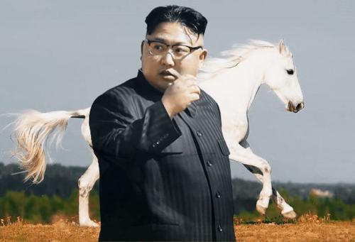 Причиной похудения Ким Чен Ына может быть его любовь к лошадям