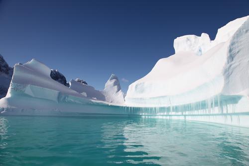Морская жизнь процветает на дне Антарктики, даже после того, как она оказалась в ловушке подо льдом в течение 50 лет