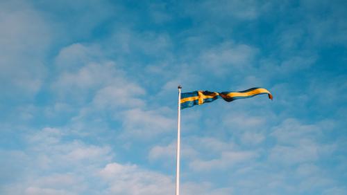 Шведский парламентарий Эмильссон предложил главе МИД Линде поставлять оружие на Украину 