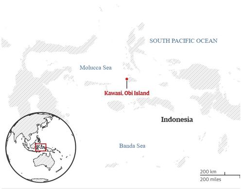 The Guardian: в результате бума на электромобили жители острова в Индонезии лишились чистого воздуха и безопасной питьевой воды