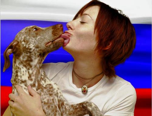 Владельцы собак должны нести ответственность за их содержание – предложения Дмитрия Давыдова