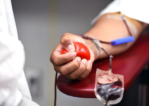 В Подмосковье заготовили около 70 тонн донорской крови в прошлом году