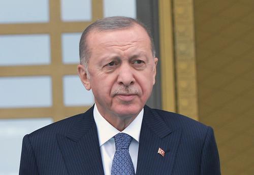 Эрдоган в телефонном разговоре с Зеленским обсудил переговоры РФ и Украины в Стамбуле