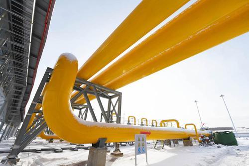 Правительство ФРГ изучает указ Путина об оплате поставок российского газа в рублях