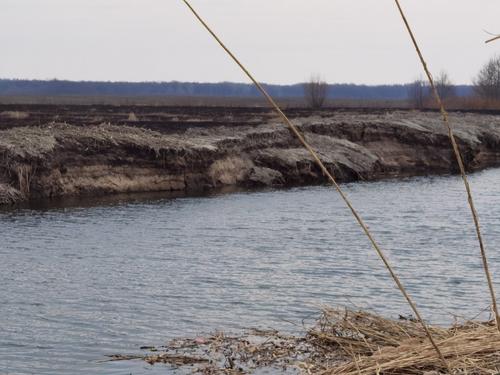 При расчистке рек в Воронежской области Росприроднадзор выявил нарушения, которые запустили активные процессы обрушения берегов 