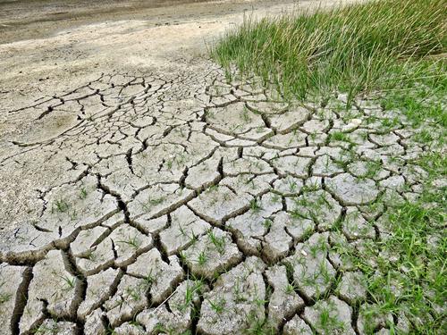Многолетняя засуха 2018–2020 годов в Европе стала беспрецедентной за последние 250 лет