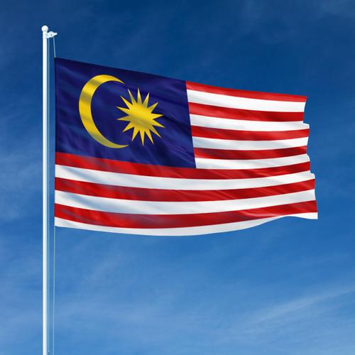 Коронавирус по-прежнему распространяется по Малайзии