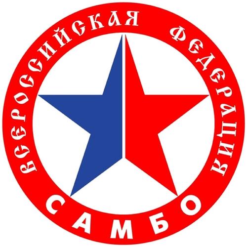 Всероссийская федерация самбо объявила акцию по сбору гуманитарной помощи для детей Донбасса