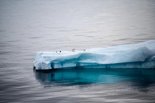 Таяние льдов Антарктики могут ускорить озёра из талой воды