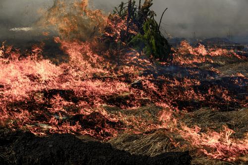 Ситуацию с лесными пожарами на Южном Урале будут держать на контроле