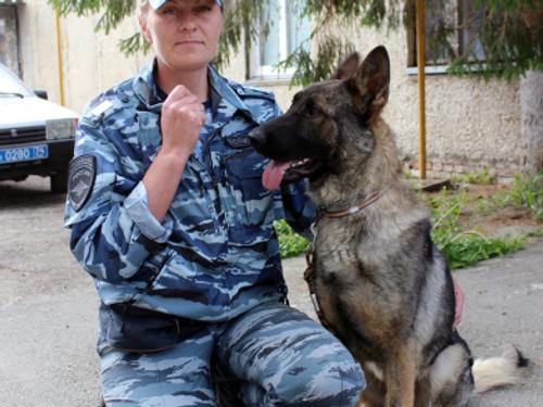 В Челябинской области пропавшего мальчика помогла найти собака