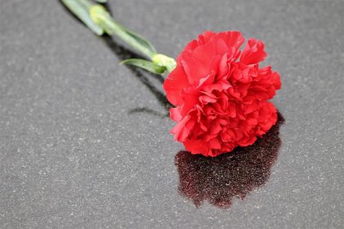 Политолог Бальбек поддержал идею учредить день памяти жертв украинских националистов