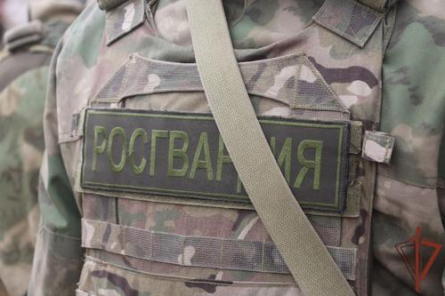 Росгвардия задержала за неделю на юге Украины 94 человека, причастных к деятельности ВСУ и националистов
