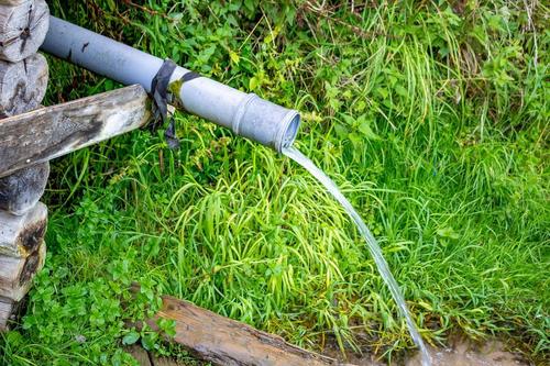 Врач-гастроэнтеролог Светлана Осипова: весной родниковую воду без термической обработки нельзя пить
