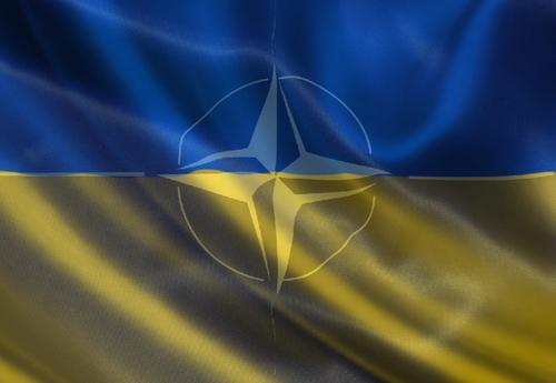 Политолог Александр Асафов: «Перспективы вступления в НАТО для Украины даже в Киеве представляются чем-то невозможным»