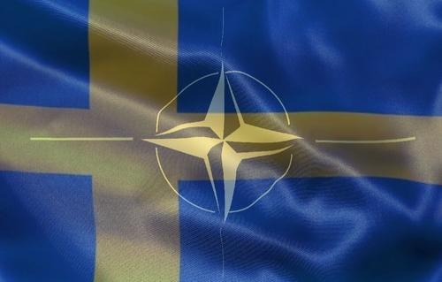 Политолог Александр Асафов: «Пока Швеция находится на стадии рассмотрения на вступление в НАТО, предпринимаются такие пиар-усилия»