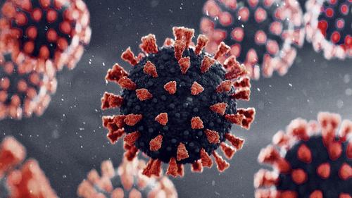 Эксперты считают, что до победы над коронавирусом ещё далеко