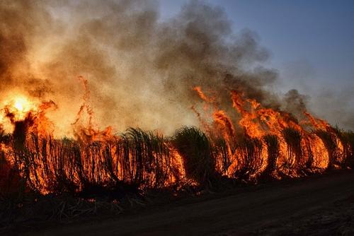 Количество погибших при пожарах в Красноярском крае увеличилось до семи