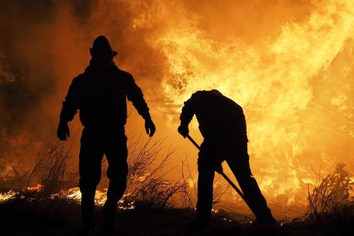 В США крупнейший лесной пожар уничтожает памятники культуры в Нью-Мексико