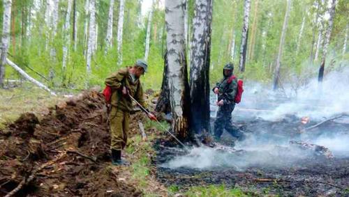 В Иркутской области в связи с пожарами объявлен режим чрезвычайной ситуации