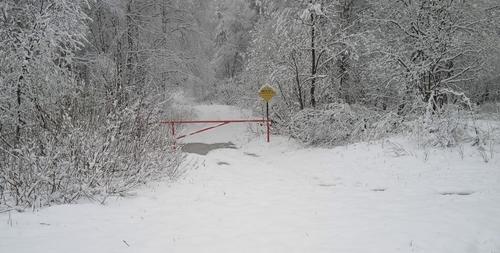 В Челябинской области в конце мая выпал снег