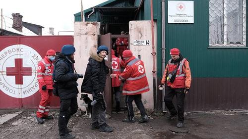 Мариупольский филиал Красного Креста подозревают в чёрной трансплантологии
