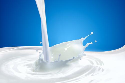 В Подмосковье увеличилось производство молока