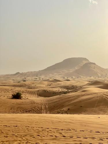 Частота пыльных бурь меняет государства Персидского залива и Сирию