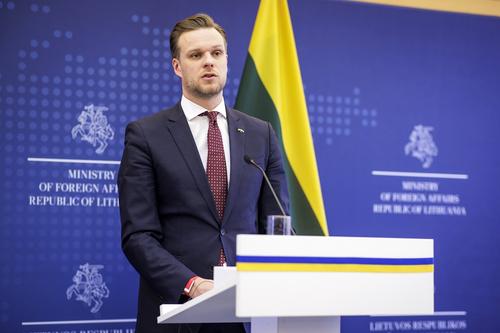 Глава литовского МИД назвал «прямой угрозой Литве» законопроект депутата Госдумы Федорова об отмене признания ее независимости