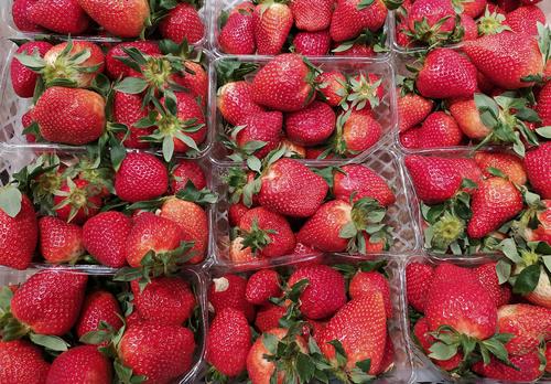 Аллерголог-иммунолог Жукова: при употреблении красных ягод может возникнуть зуд