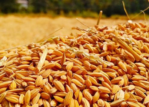 Заместитель секретаря Совбеза РФ Венедиктов: Европа, вывозя зерно, ставит Украину на грань голода