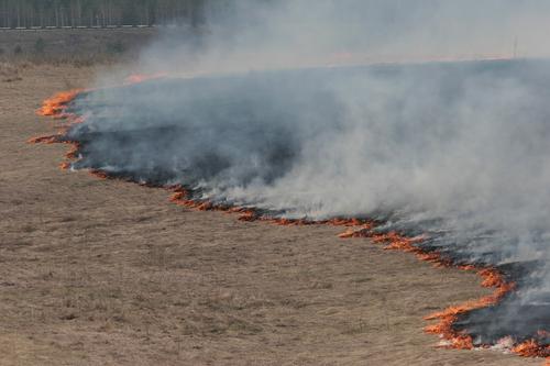 Злоумышленники ставят на пшеничных полях Ростовской области конструкции с линзами для поджога