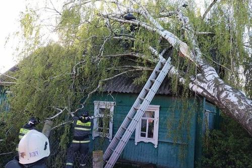 Село в Хабаровском крае осталось без электричества из-за грозы и урагана