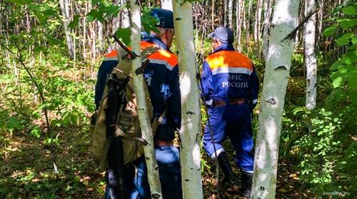 Спасатели уже неделю ищут жителя Хабаровского края, заблудившегося в лесу