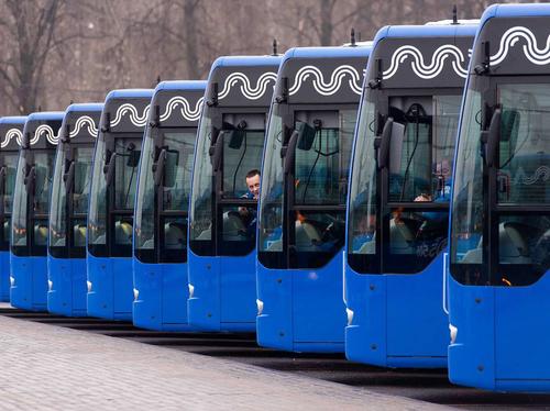 Зампред правительства Анна Кротова сообщила о развитии транспорта в Химках