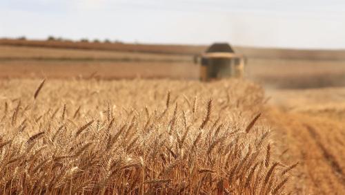 Путин в разговоре с журналистами заявил, что ограничения на поставки российского зерна должны быть сняты