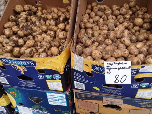 Производителей картофеля в Приморском крае поддержали краевыми грантами 