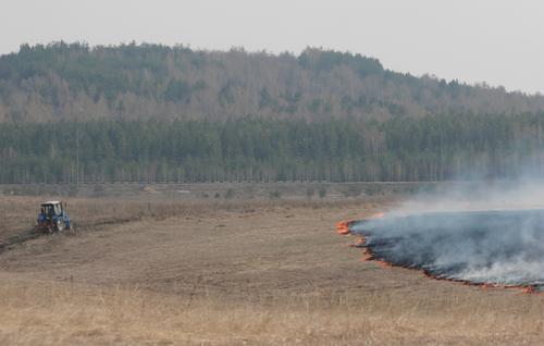Член ВГА Рогов: ВСУ используют специальные боеприпасы для поджога полей в Запорожье
