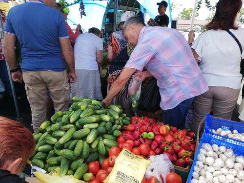Производство собственных овощей стимулируют в Приморье