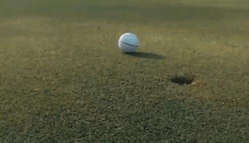 Трамп похоронил бывшую жену на поле для гольфа, чтобы избежать лишних проблем
