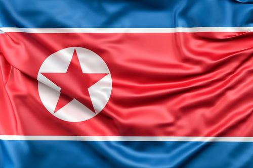Северная Корея может направить войска и вооружения на помощь республикам Донбасса?