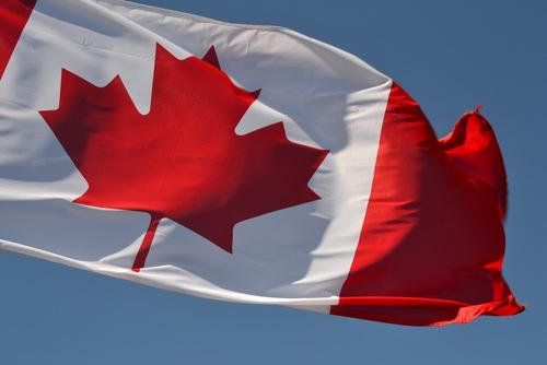 Канада включила 43 физических и 17 юридических лиц из России в санкционный список