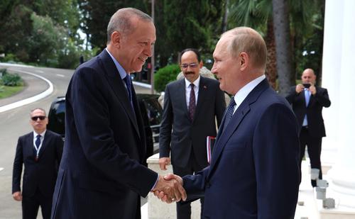 Новак сообщил, что Путин и Эрдоган договорились о частичной оплате газа в рублях
